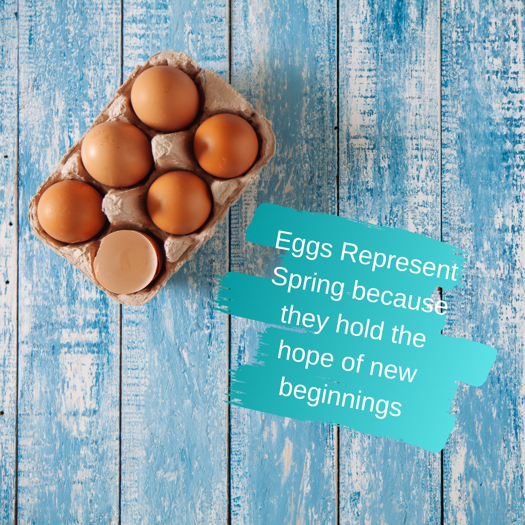 Eggs Represent Spring because they hold the hope of new beginnings